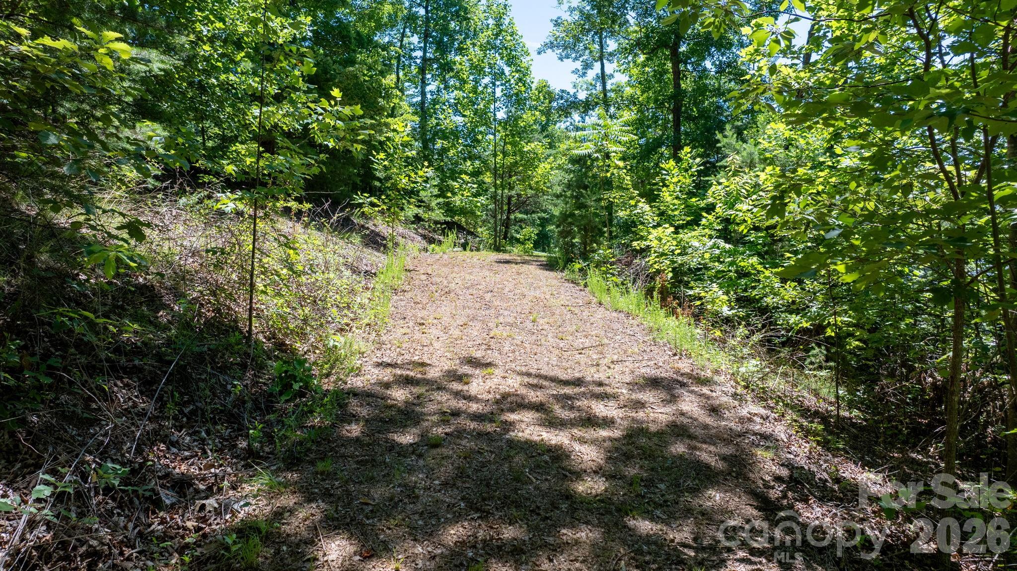 108 Mountain Brook Trail