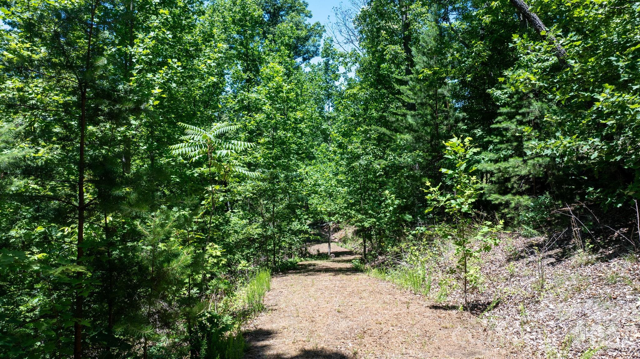 108 Mountain Brook Trail
