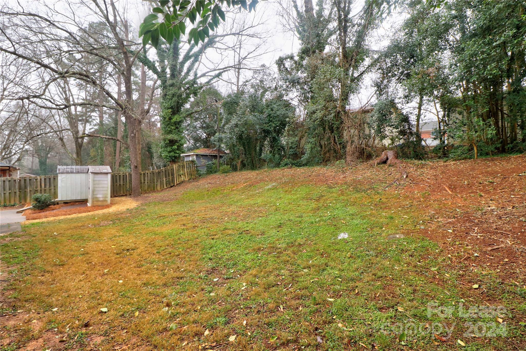 None - Residential Lease