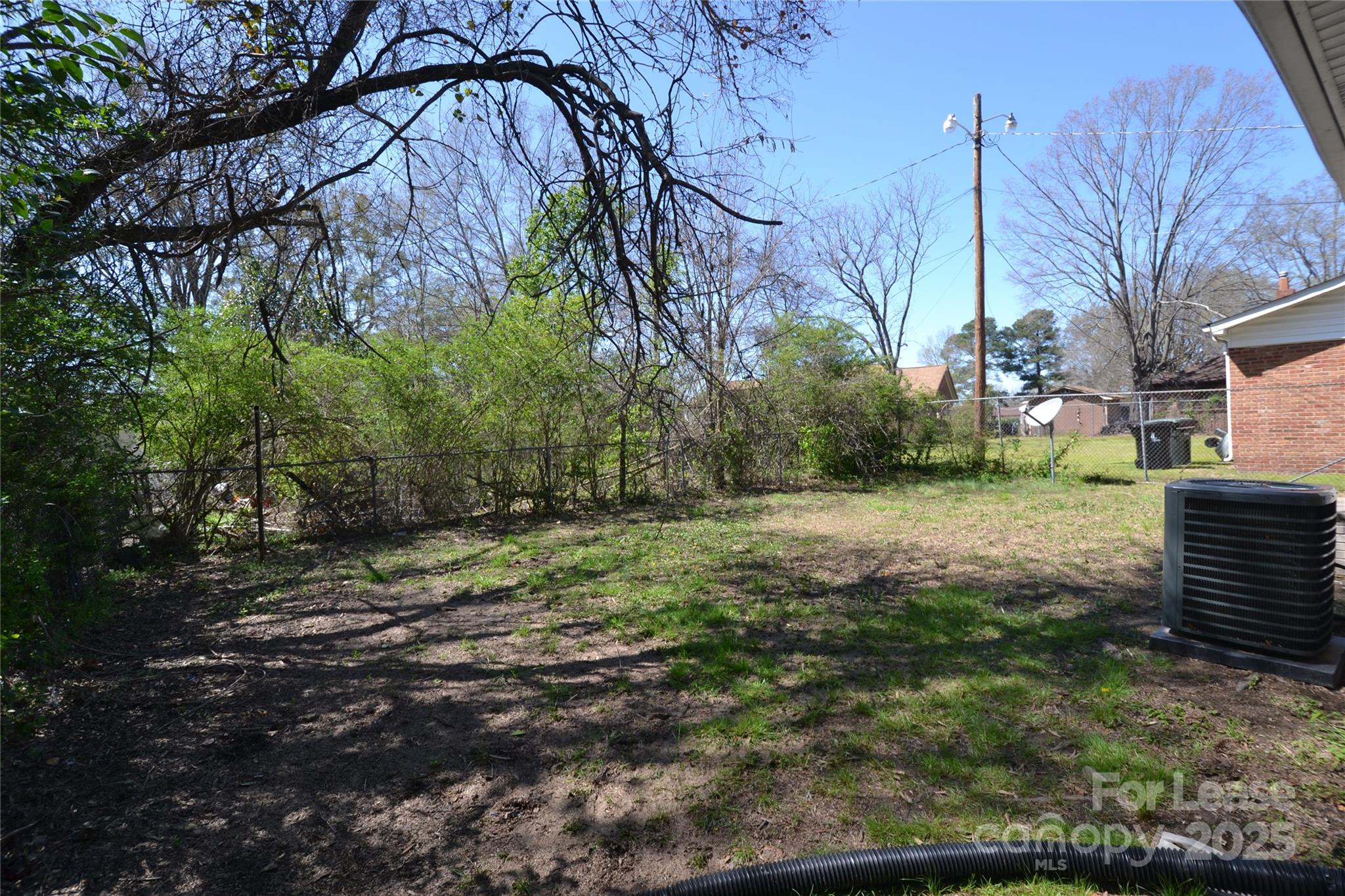 None - Residential Lease