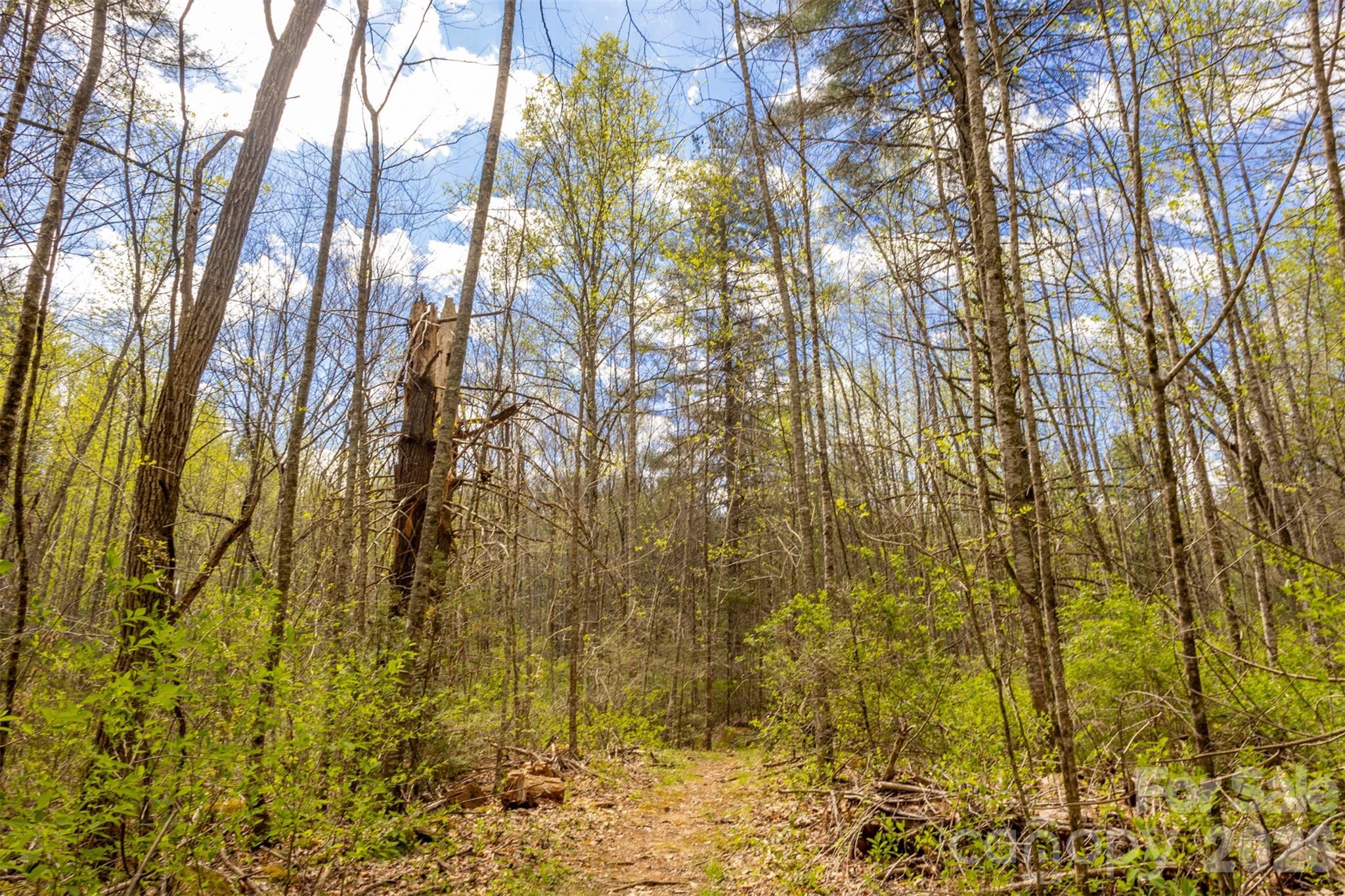 Bear Lake Reserve - Residential