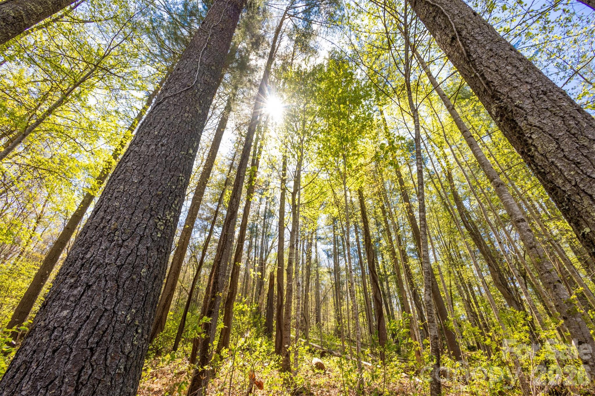 Bear Lake Reserve - Residential