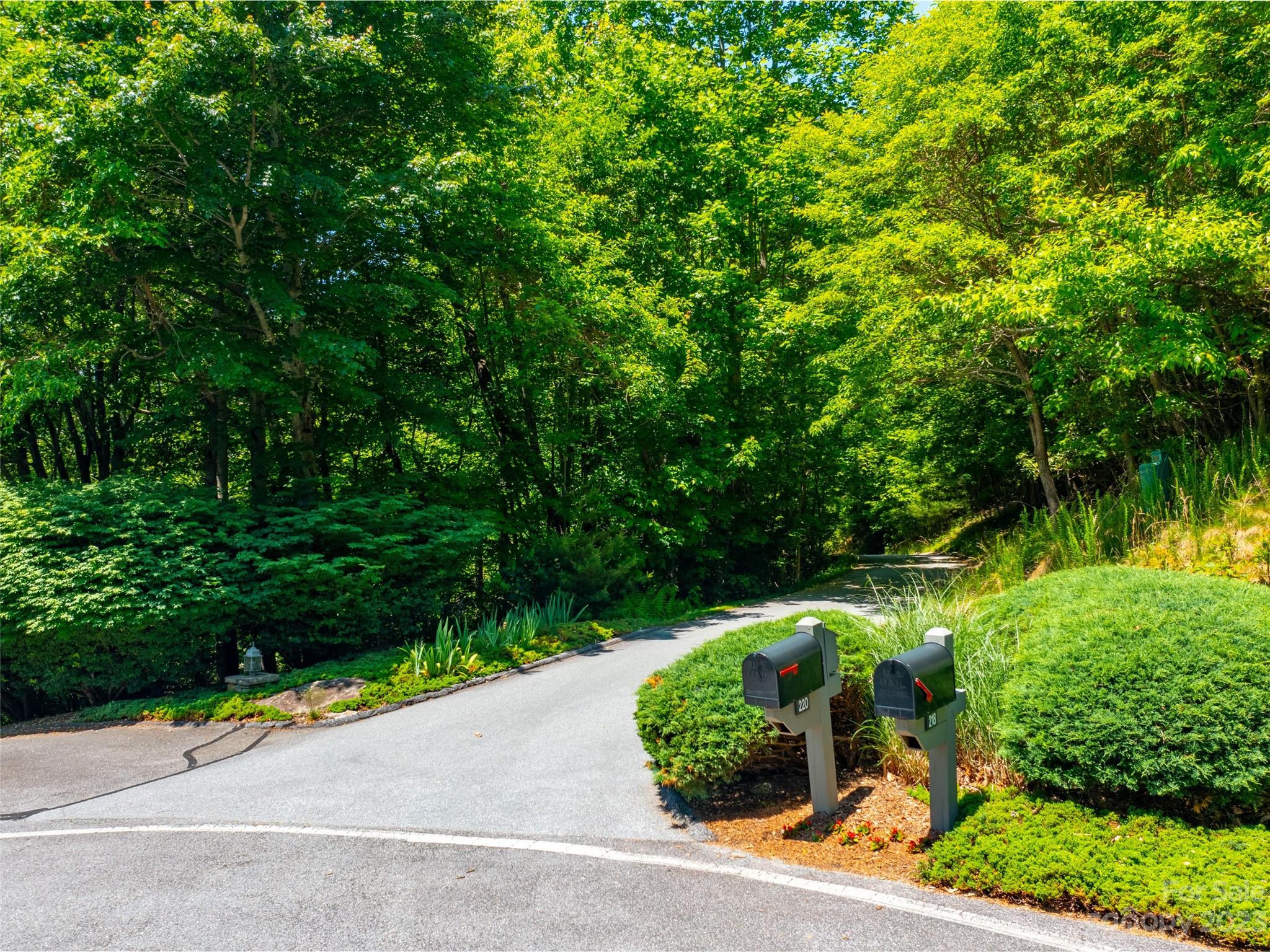 216 BENT PINE Trace 174
