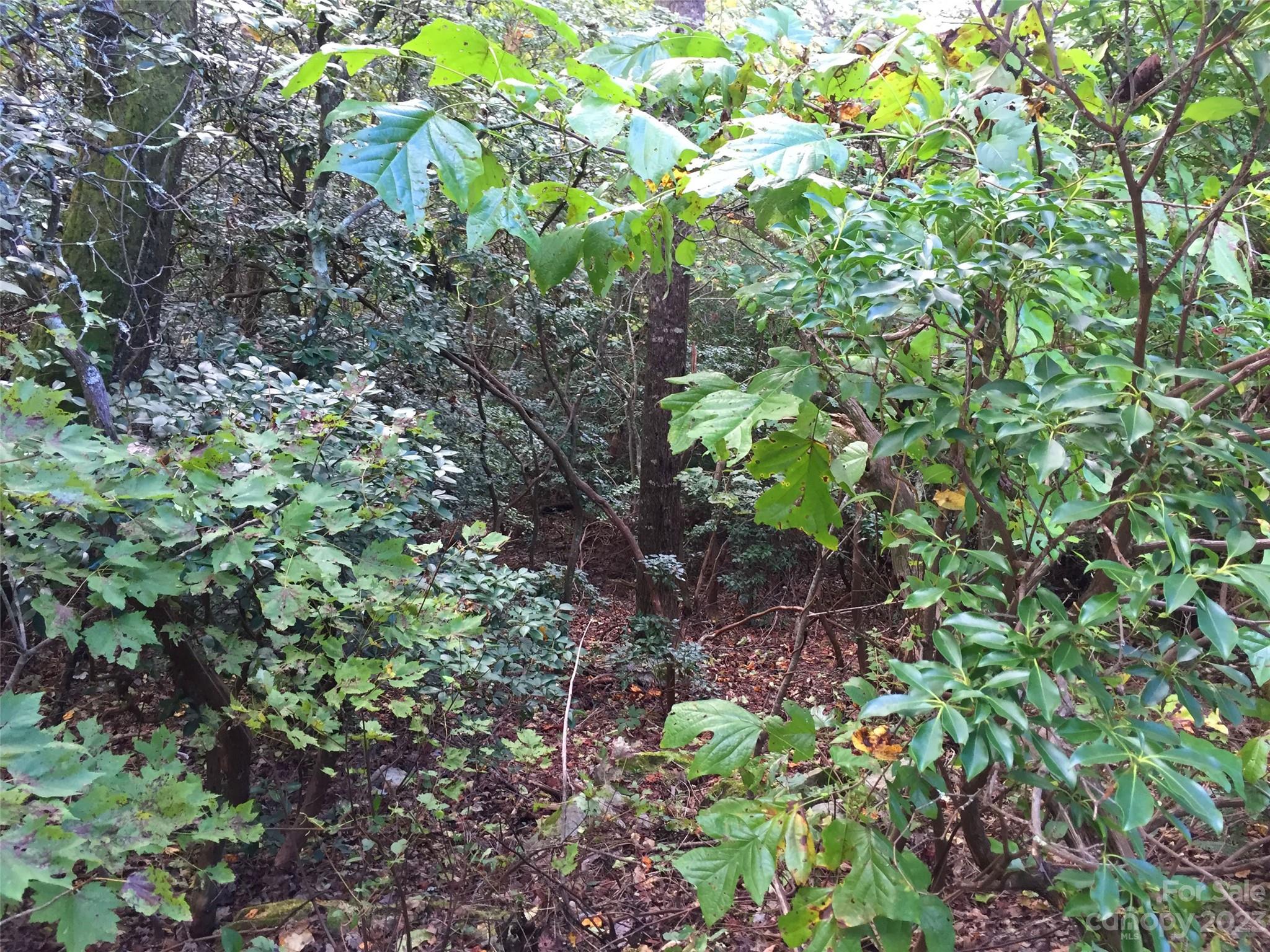 Champion Hills - Land