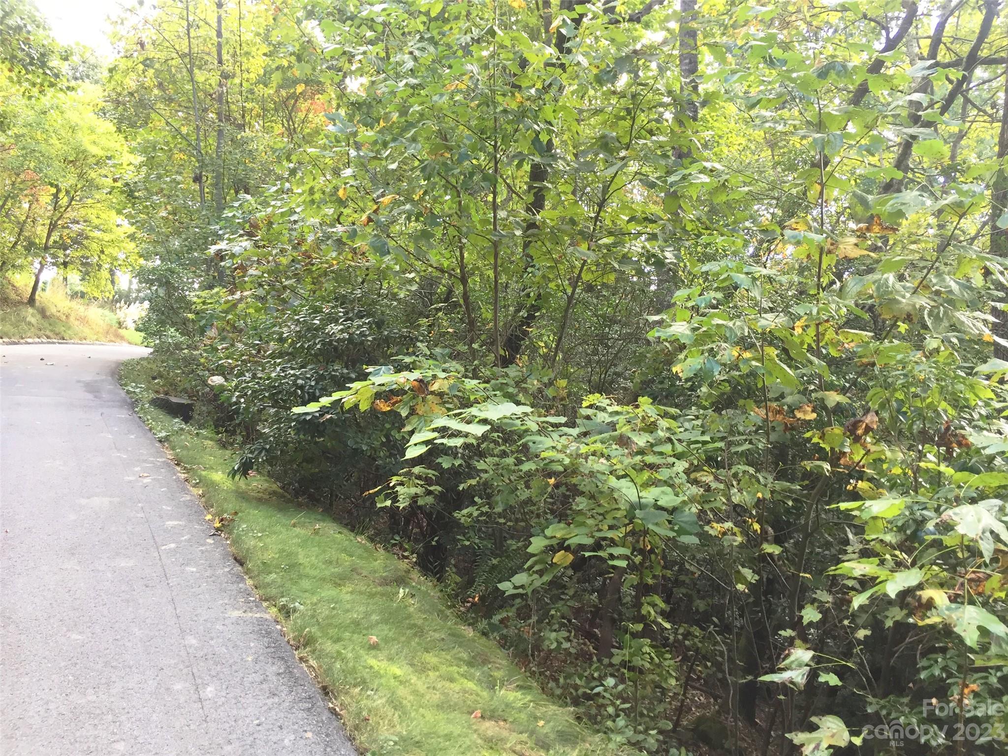 Champion Hills - Land