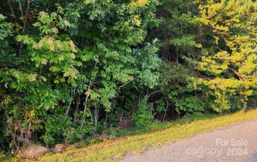Over one acre waiting for you to build the hime of your choice! Manufactured homes allowed, double wides allowed. No single wides. Priced to sell. Bring an offer!