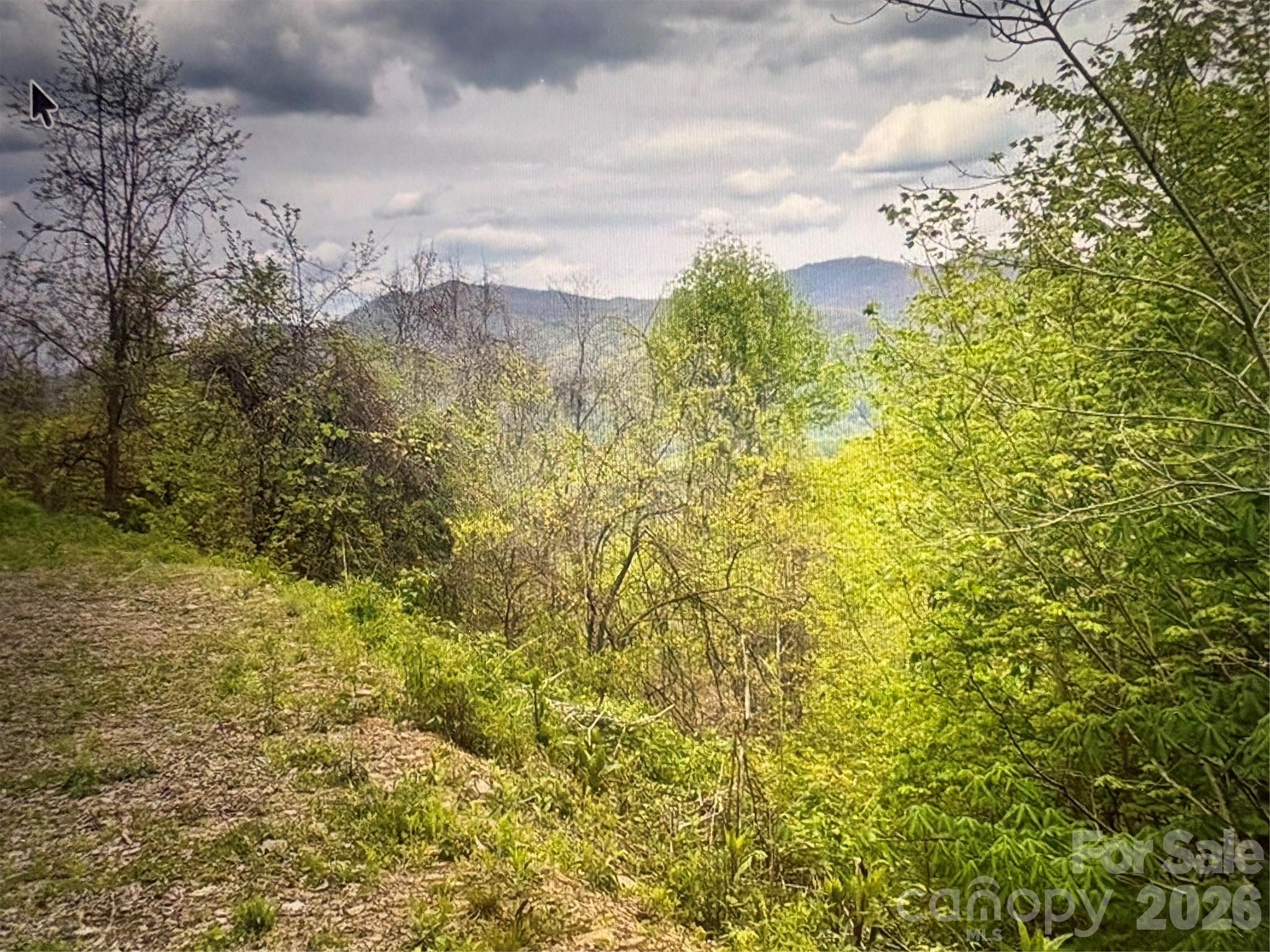Cowee Mountain Properties - Land