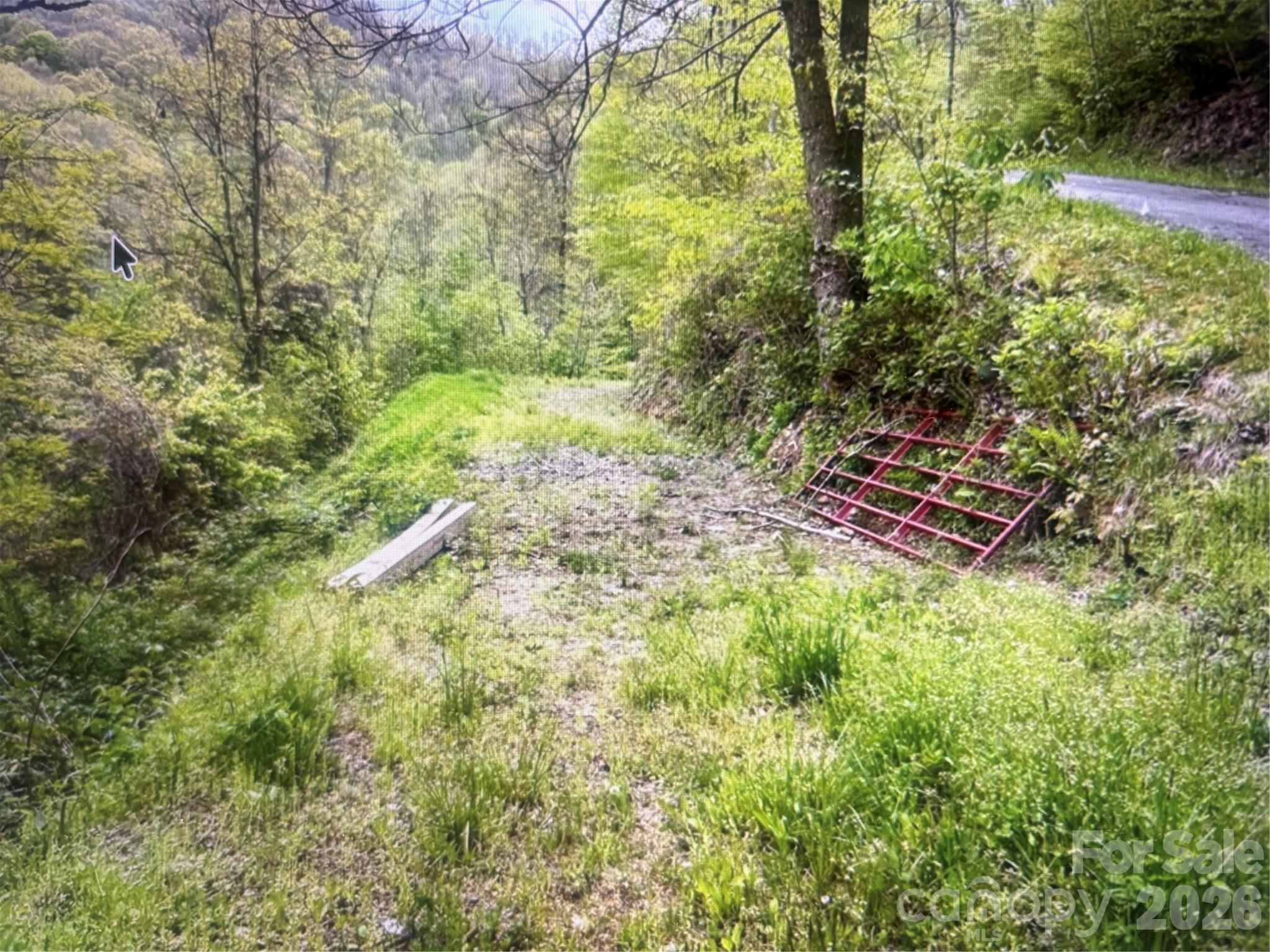 Cowee Mountain Properties - Land