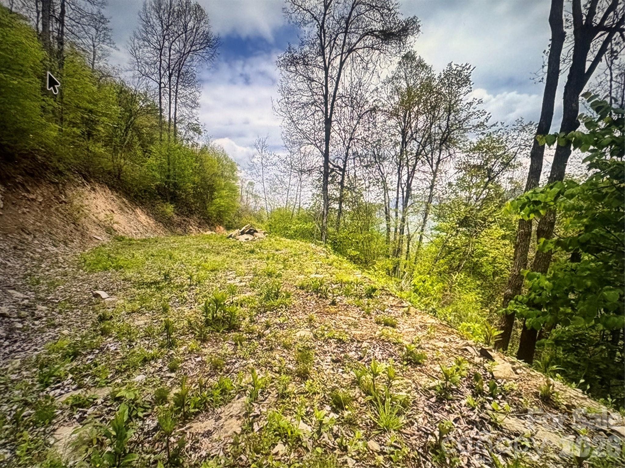 Cowee Mountain Properties - Land