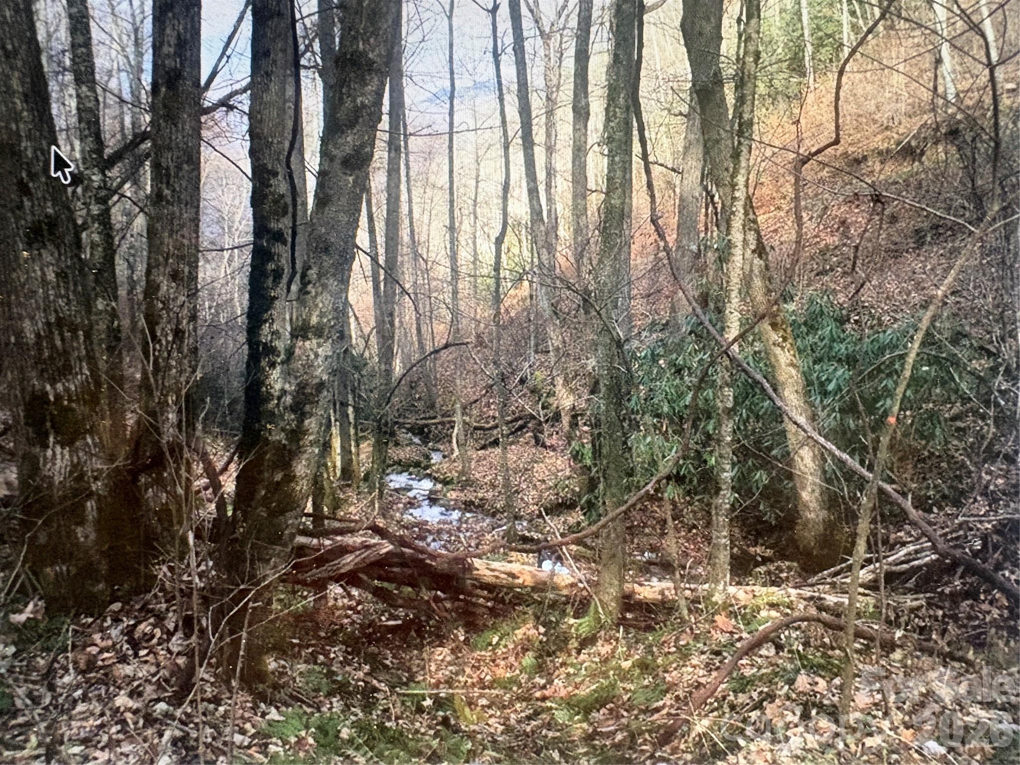 Cowee Mountain Properties - Land