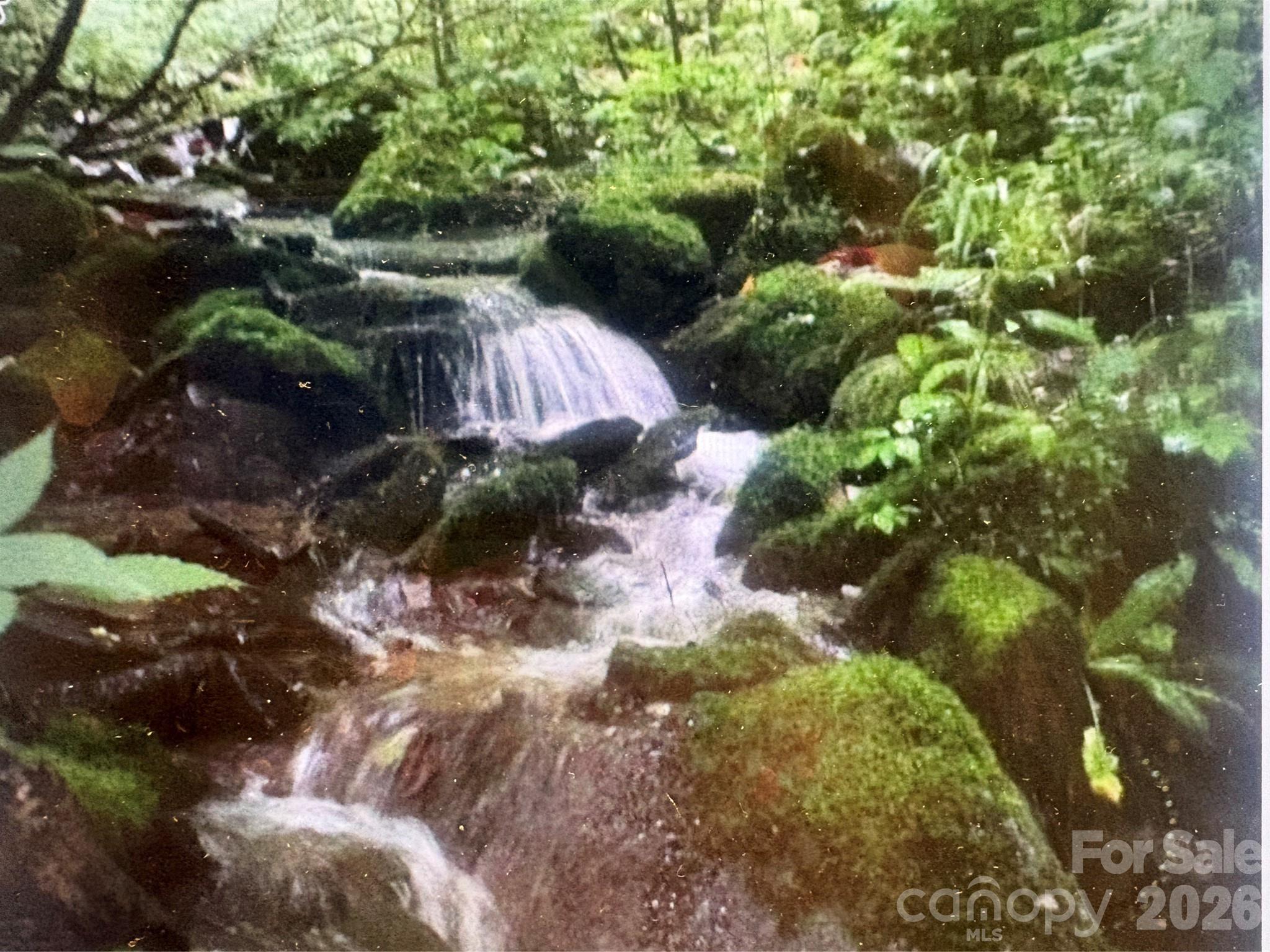 Cowee Mountain Properties - Land