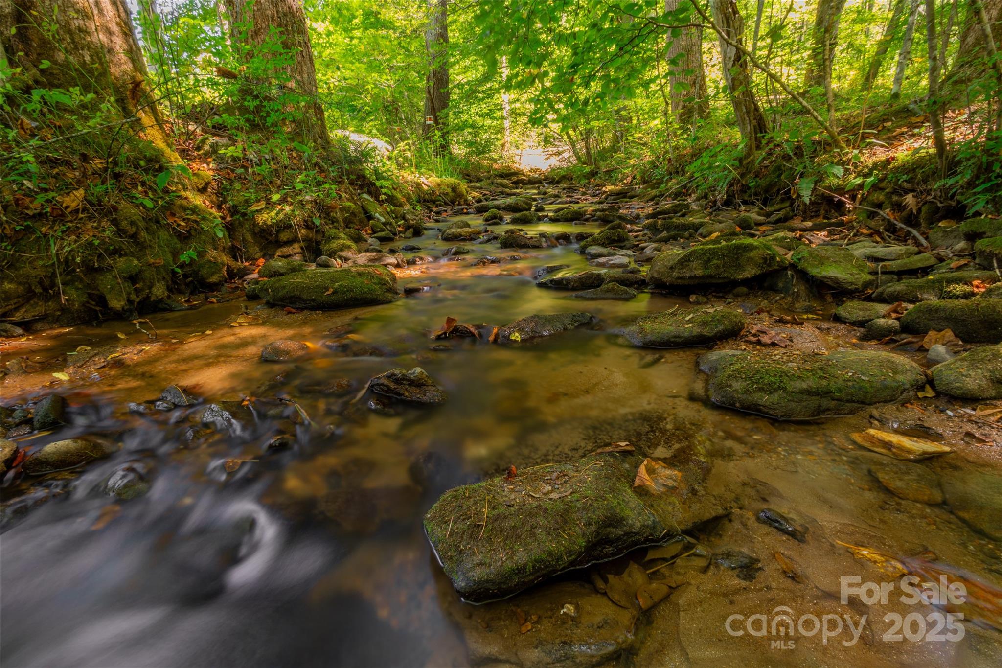 215 Martins Creek Road