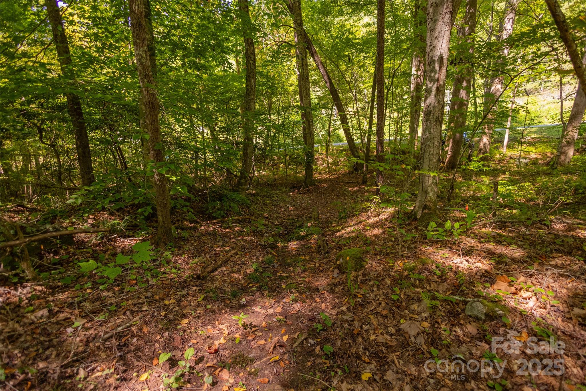 215 Martins Creek Road