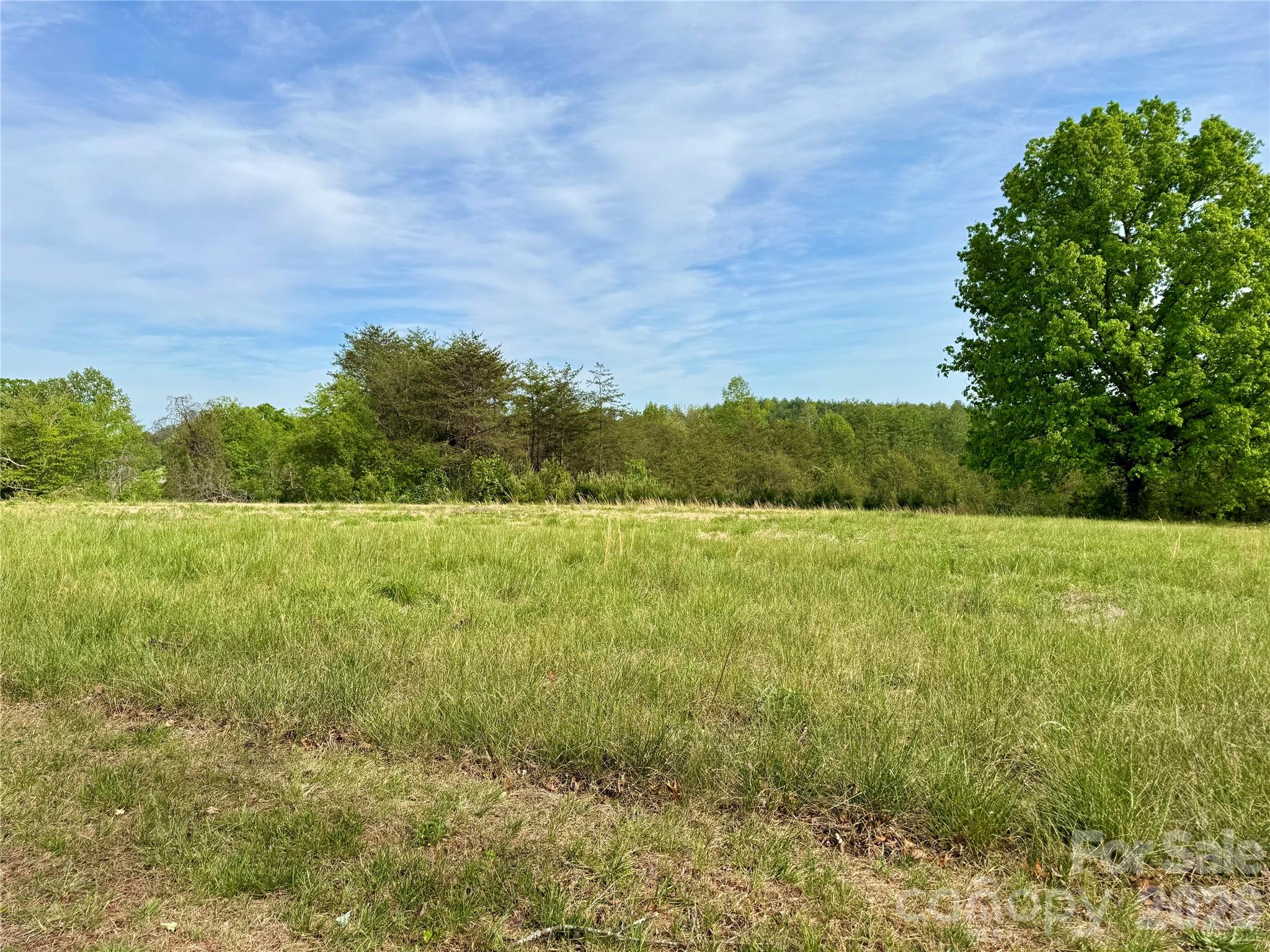 The Coves Mountain River Club - Land