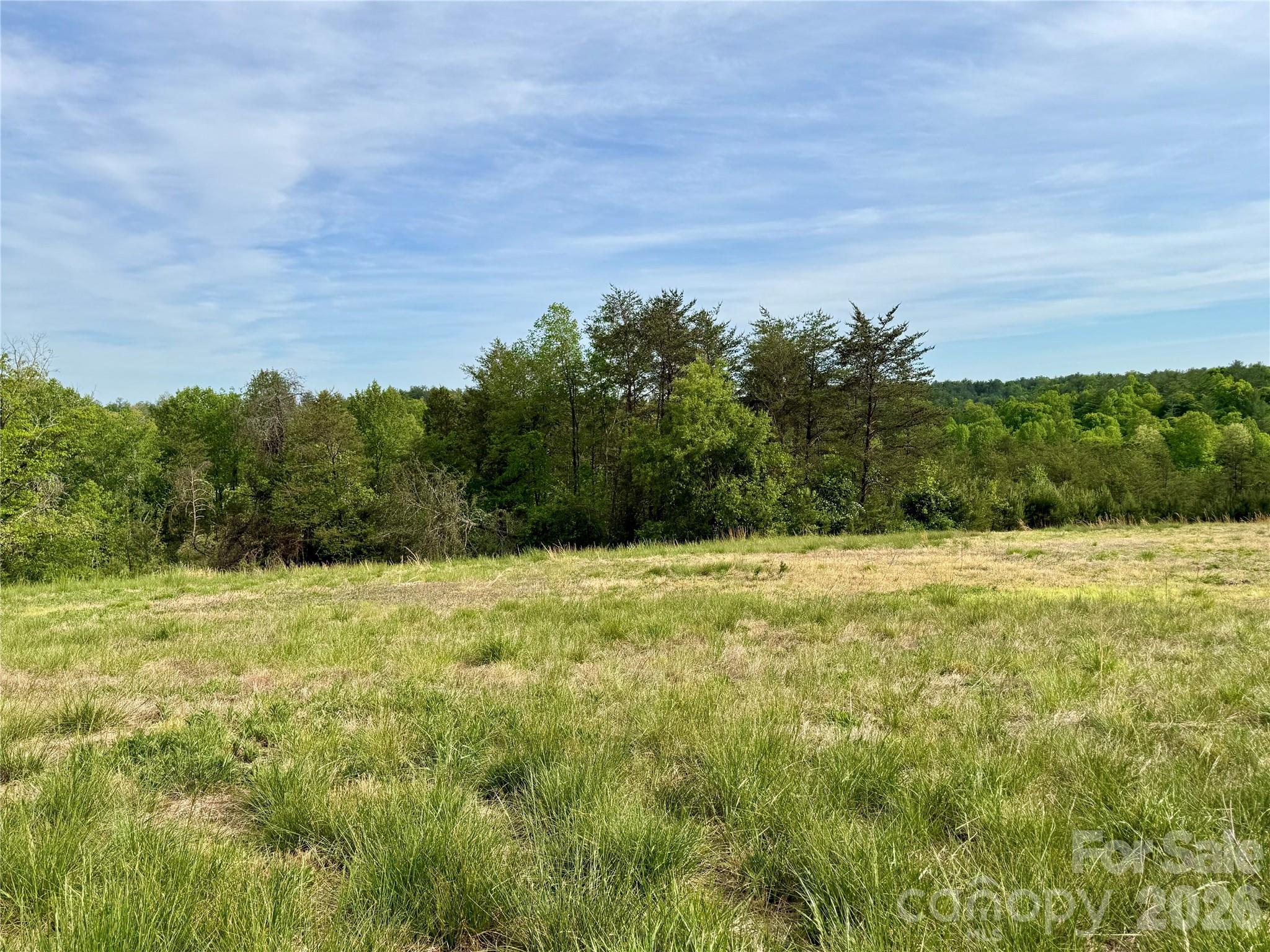 The Coves Mountain River Club - Land
