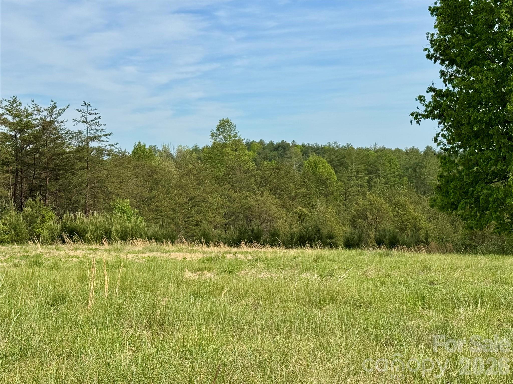 The Coves Mountain River Club - Land