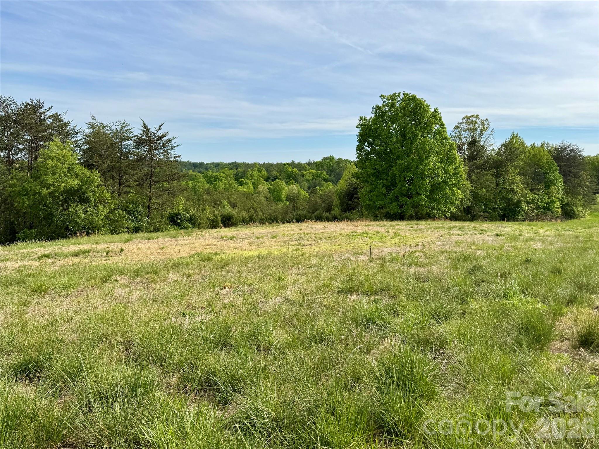 The Coves Mountain River Club - Land