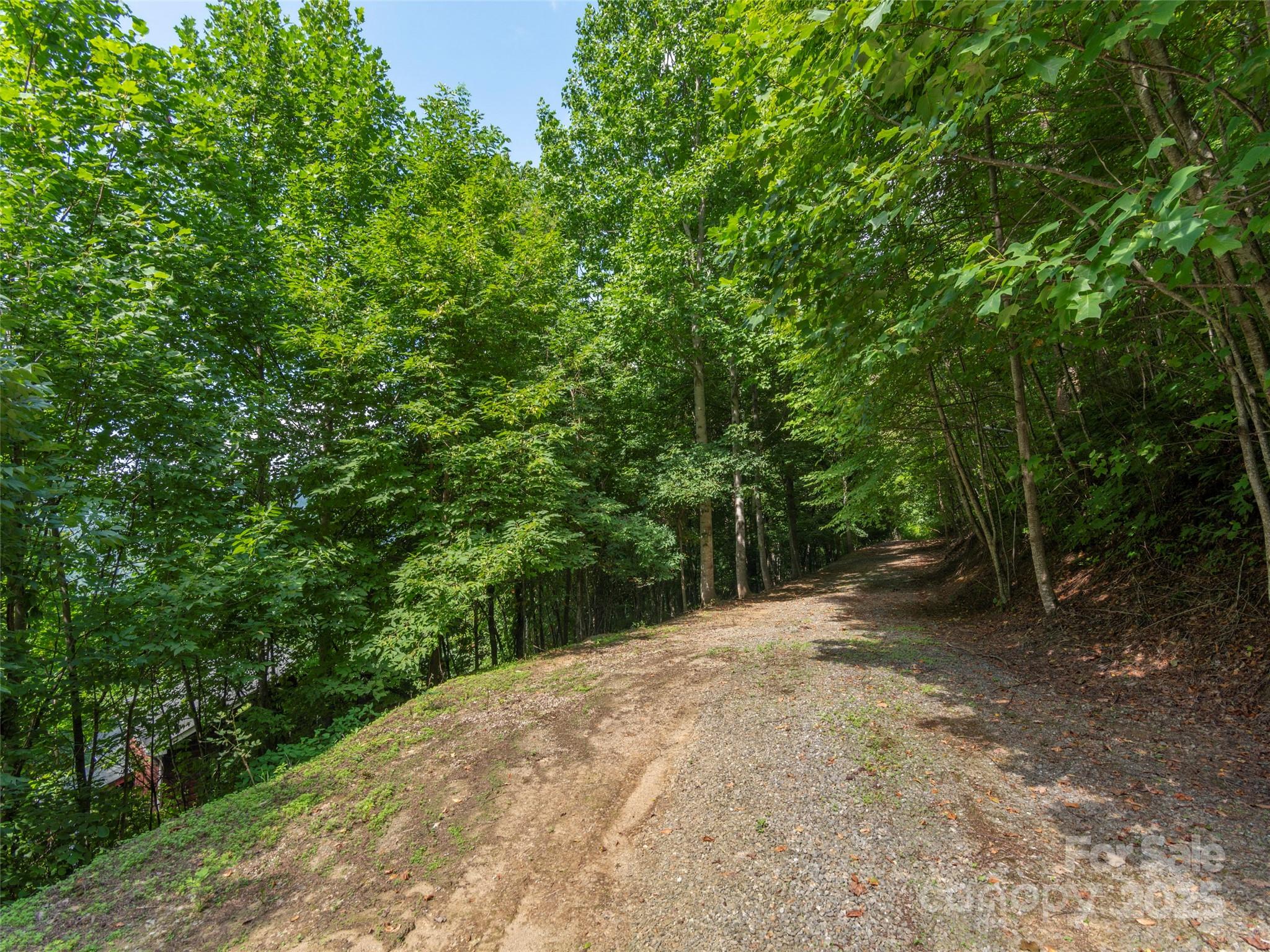 00 Pitch Fork Cove 525