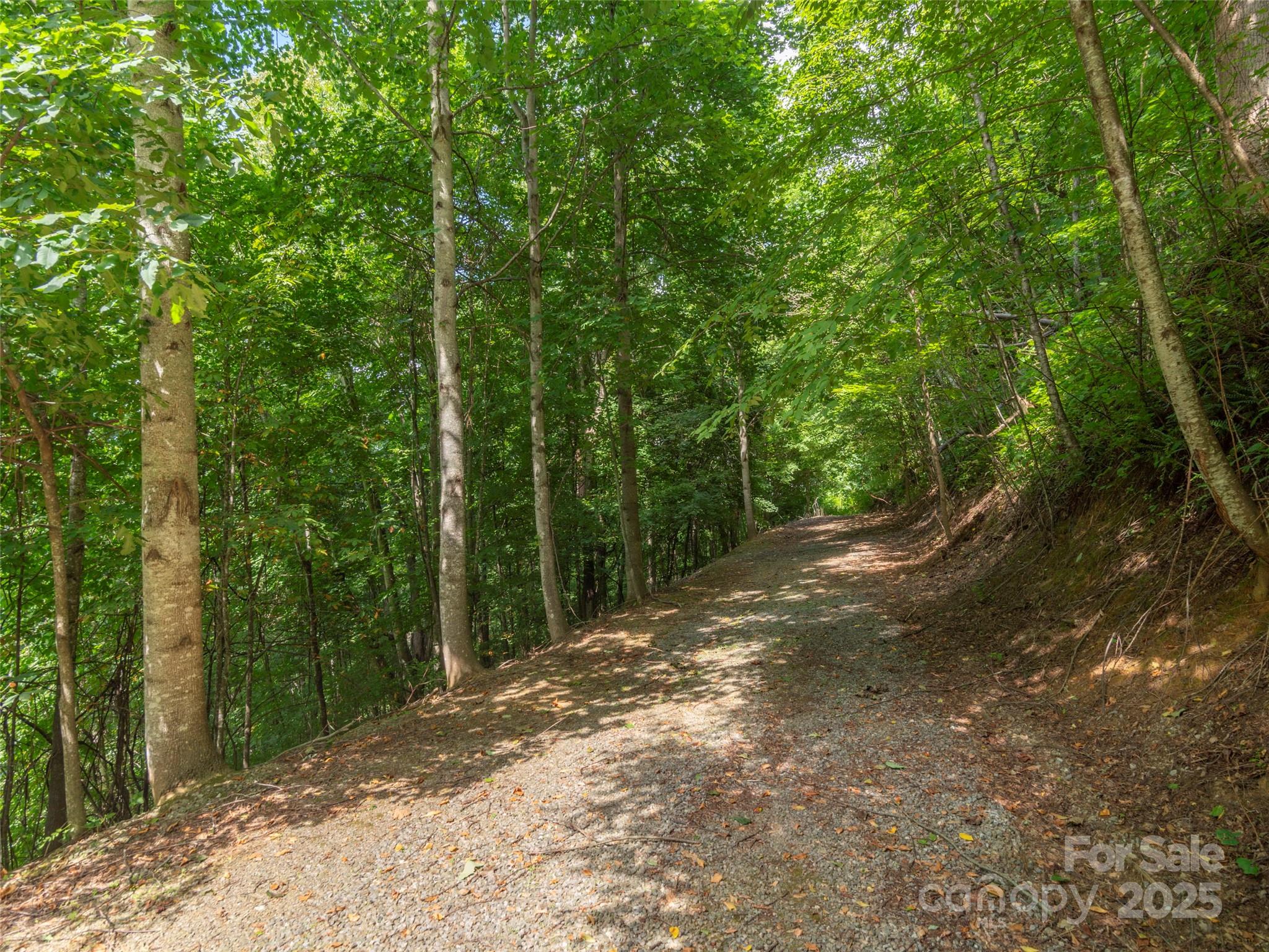 00 Pitch Fork Cove 525
