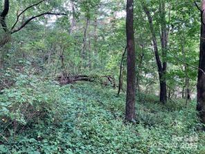 99999 Moffitt Branch Road