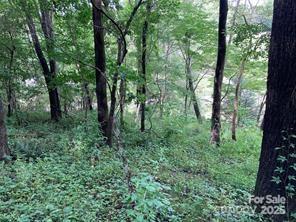 99999 Moffitt Branch Road