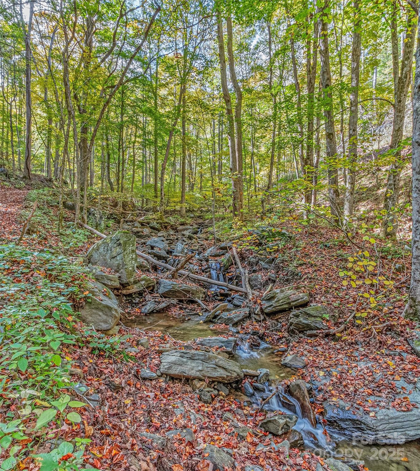 183 Crystal Creek Lane