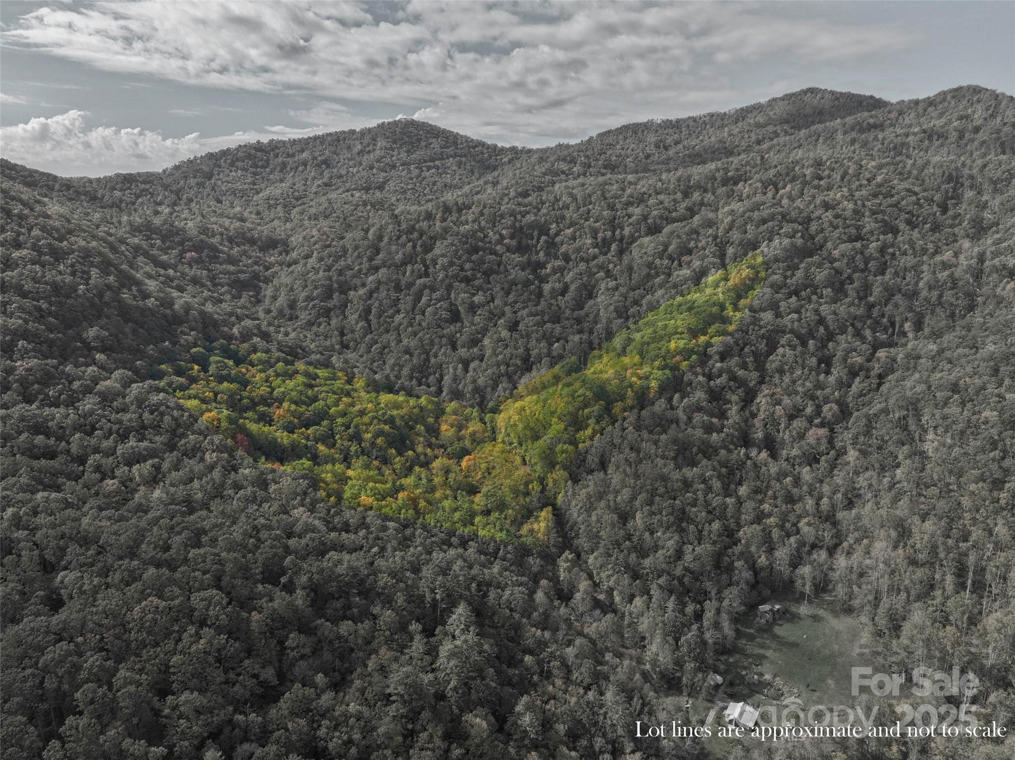 183 Crystal Creek Lane