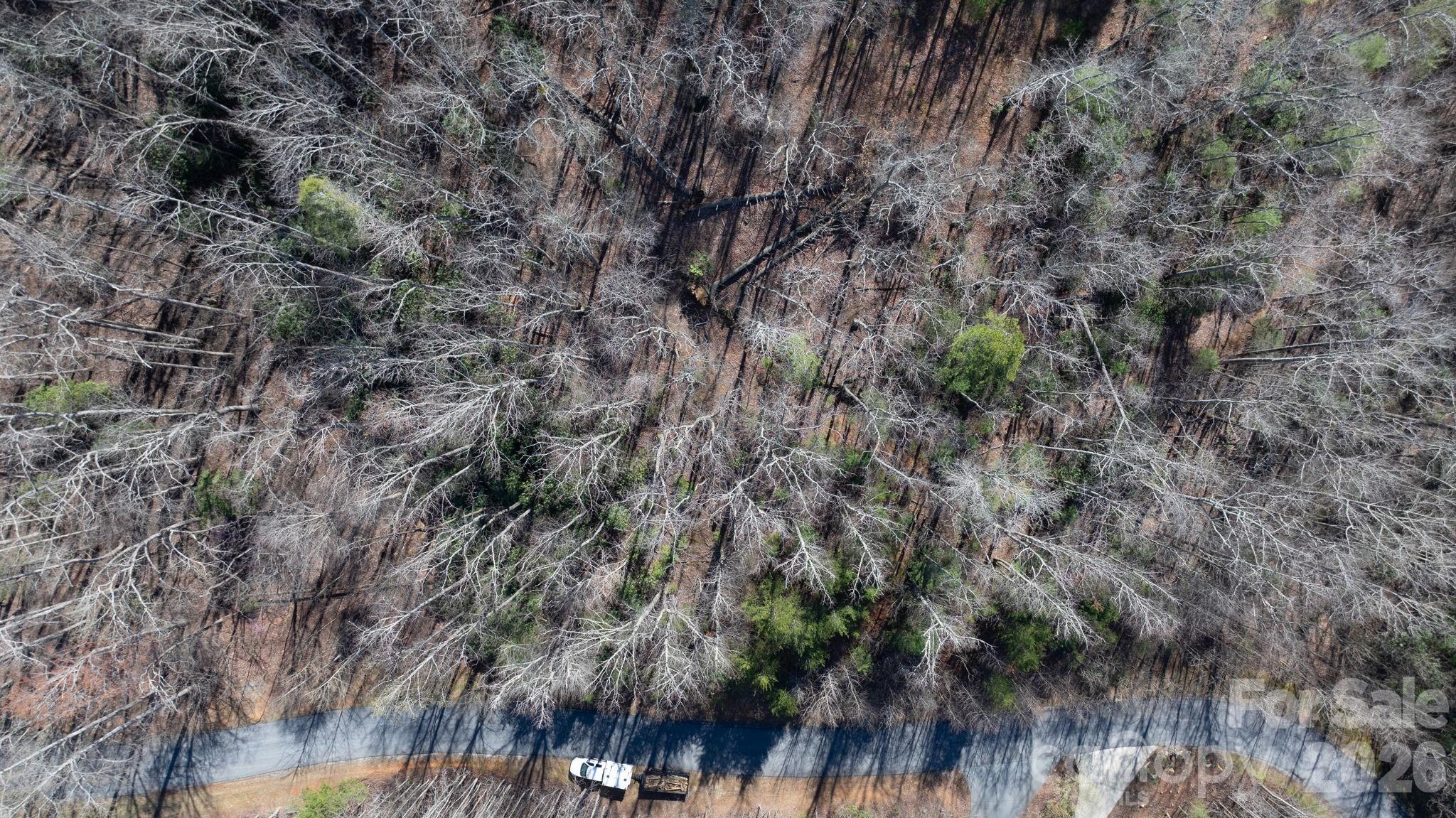The Arbor at Lake James - Land