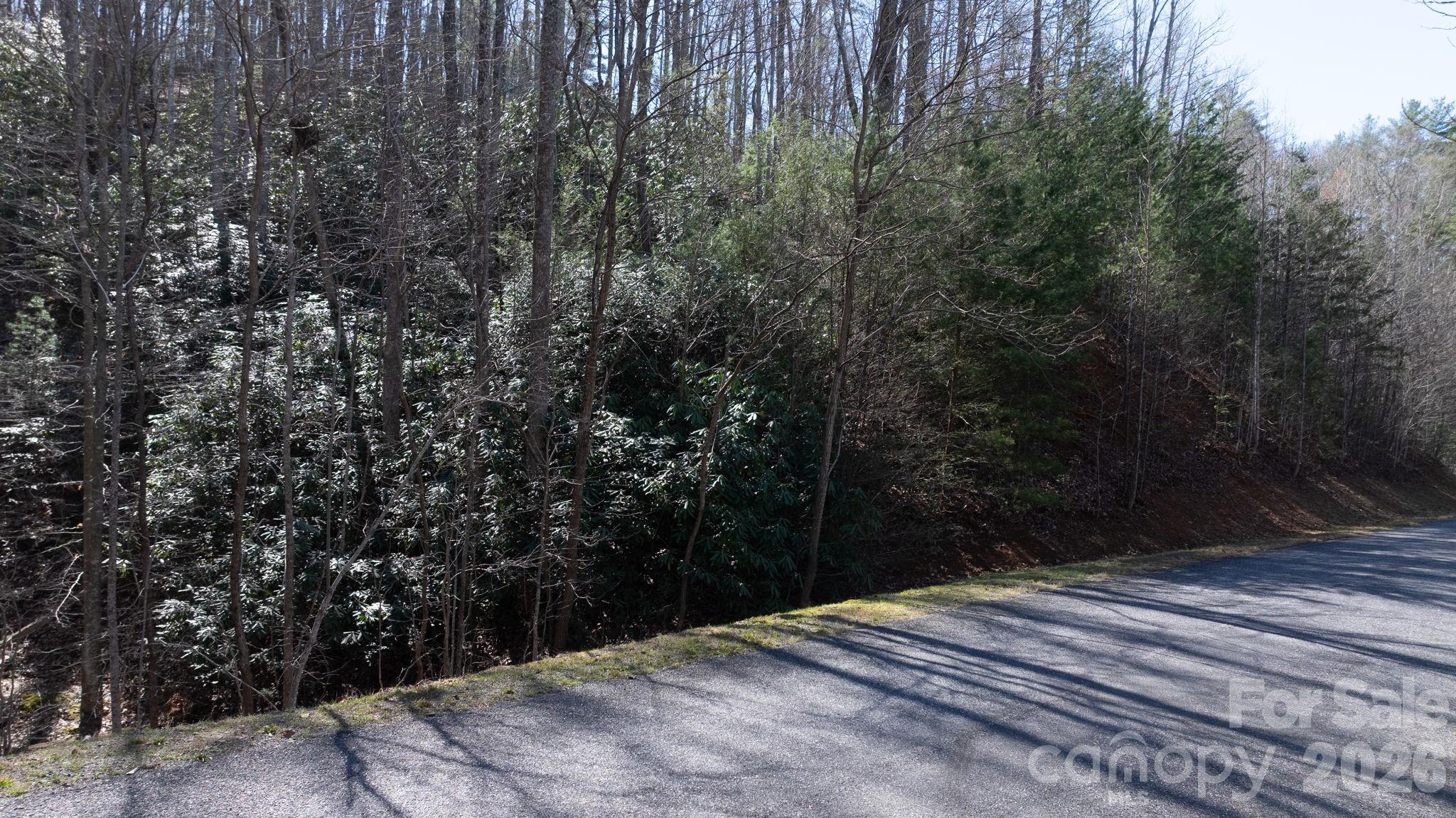 The Arbor at Lake James - Land