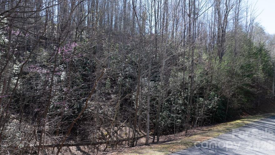 Build your dream home in the gated community of The Arbor at Lake James. This 1.76-acre wooded homesite offers a private setting with potential mountain views and access to community amenities including lake access, walking trails, picnic areas, and a community boat slip.

The lot features a sloped topography that may be suitable for a basement-style home, subject to buyer verification. Short-term rentals are permitted per community guidelines; buyer to confirm all restrictions and requirements.

Conveniently located near Lake James with access to I-40, Marion, and Morganton, this property offers a balance of privacy and accessibility.

HOA dues are reported by the seller to be approximately $990/year. Optional boat storage is reported to be approximately $185/year. Buyer to verify all HOA information, fees, restrictions, utilities, septic suitability, and building requirements. Address used for marketing purposes; official address has not been assigned.