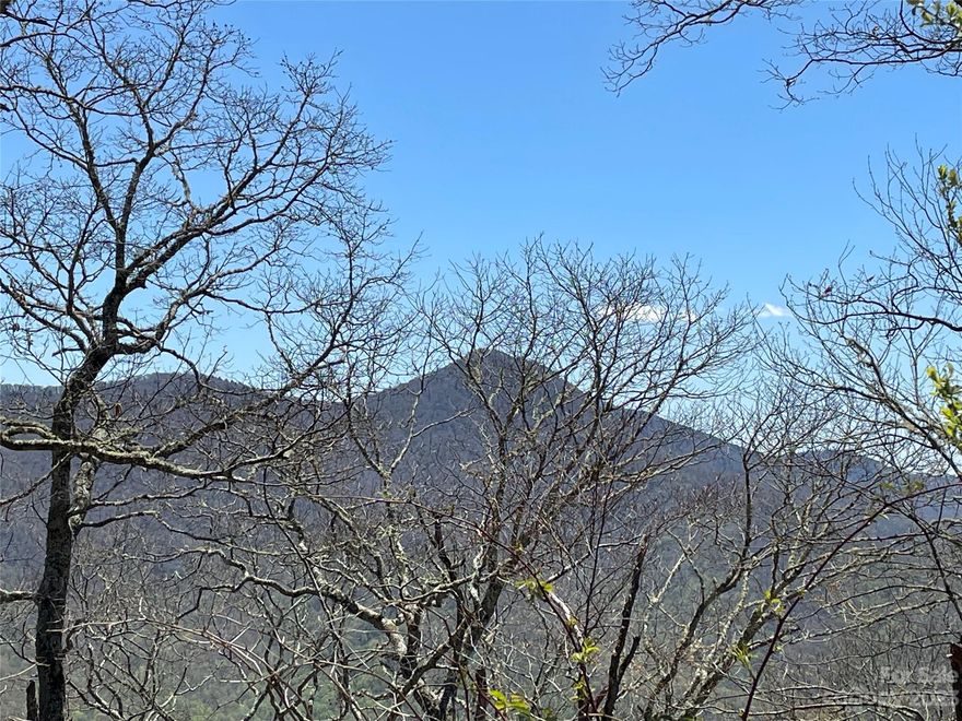 Are you searching for a tranquil and picturesque place to call home? Look no further than Ogle Meadows, an established gated community with affordable HOA fees. Nestled atop a mountain, this property boasts breathtaking panoramic views that stretch for miles in every direction. The location is secluded, providing a peaceful retreat from the hustle and bustle of city life.
This vast acreage offers endless possibilities to create your own private estate, or there is space for multiple homesites. With some light clearing, you can unlock even more stunning long-range vistas. There are miles of trails to explore throughout the community, making it the perfect place for nature lovers to call home.
Don't miss your chance to experience paradise on earth. Come discover the beauty of Ogle Meadows for yourself.