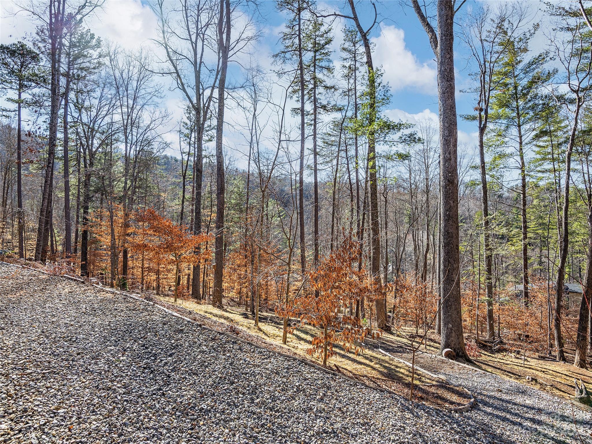 Town Mountain Preserve - Residential