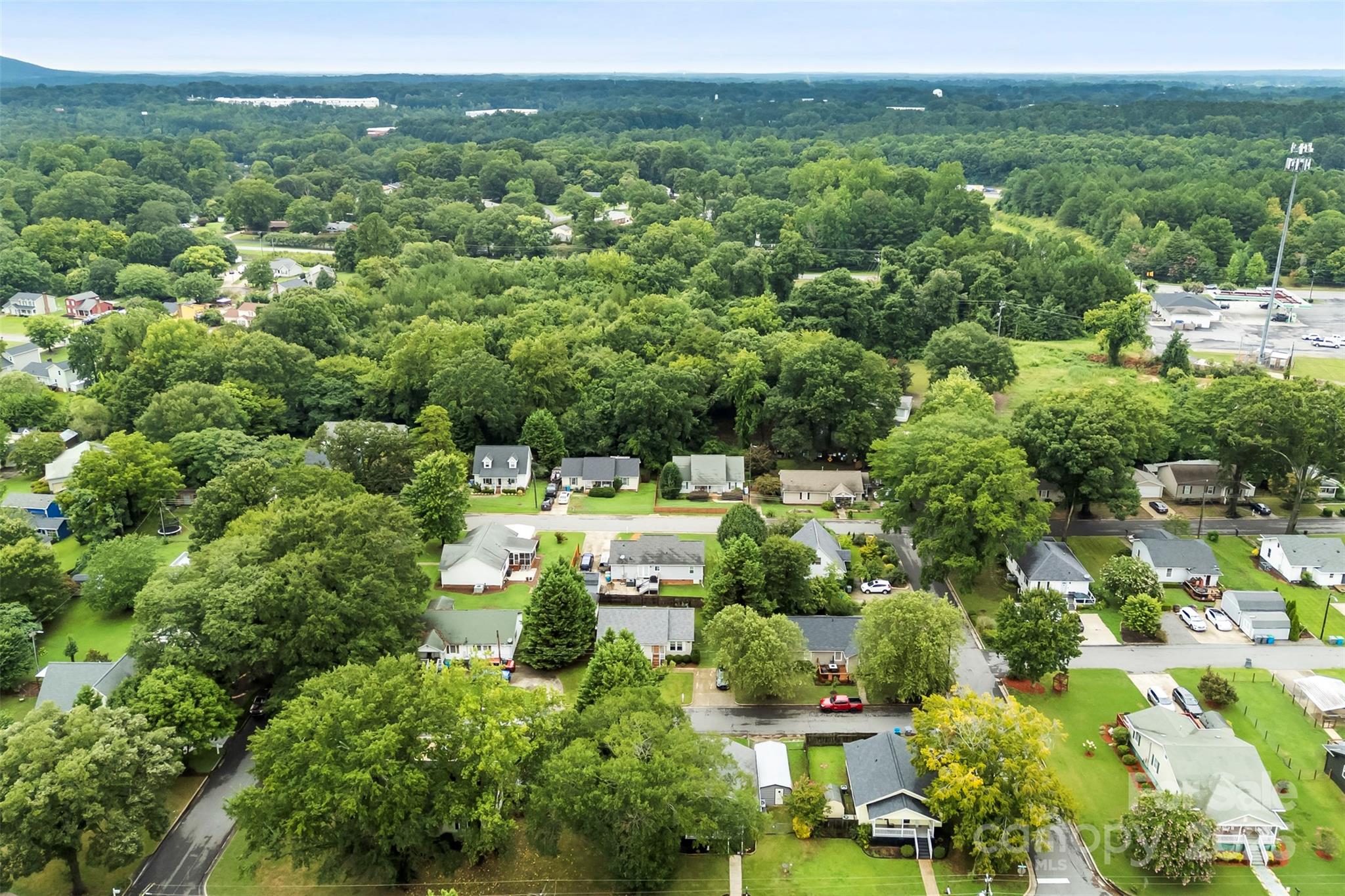 204 Live Oak Avenue