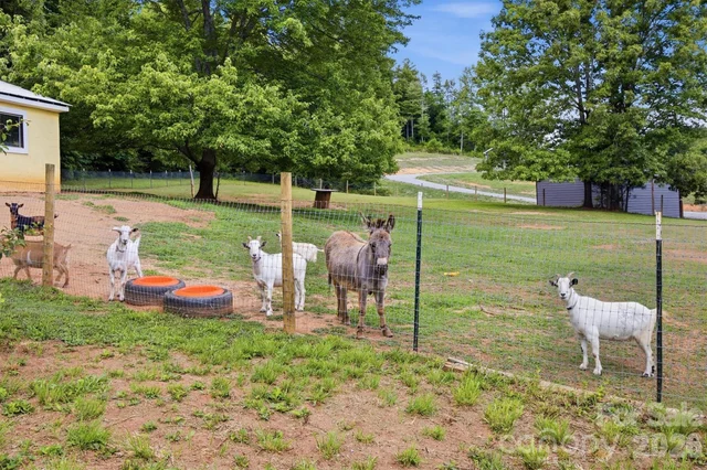 360/331 Johnson Caldwell Road, photo 4 of 48