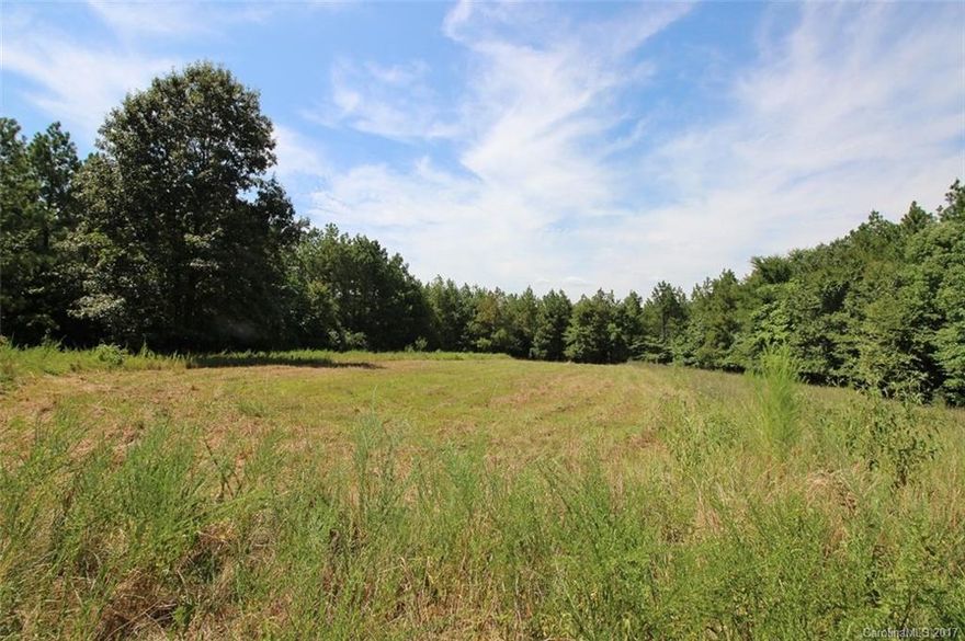 Discover the charm of Historic McConnells SC. This quaint town is just 45 minutes f/Charlotte but you'll feel a world away. Step back in time to a time when the land under your feet really mattered. Don’t just look from the road, walk down the trail to the open pasture, the perfect build site, surrounded by woods. Have our builder give you a quote for your dream home on these private 30 acres. No mobile or modular homes allowed.