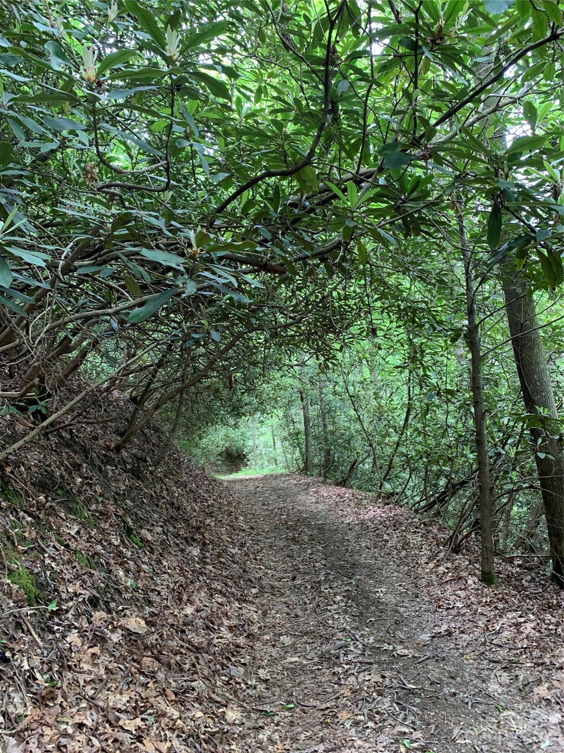 French Broad Crossing - Residential