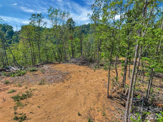 EARLY RD, SALUDA, NC 28773 - Image b4f89c33d87f602f9fab1df6dd047c3e/3869443164