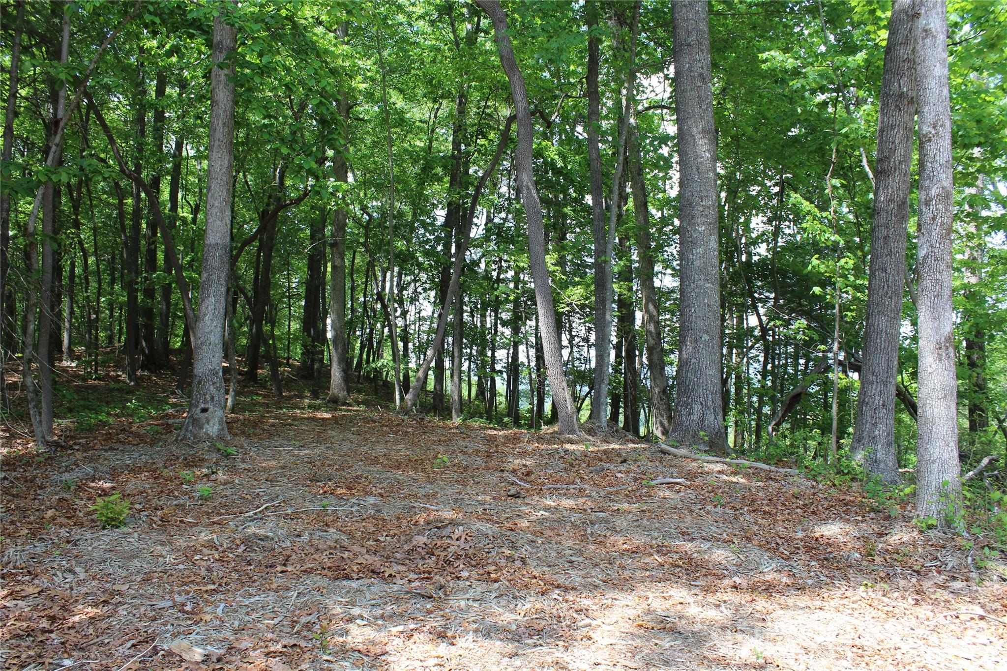000 Northview Drive 12