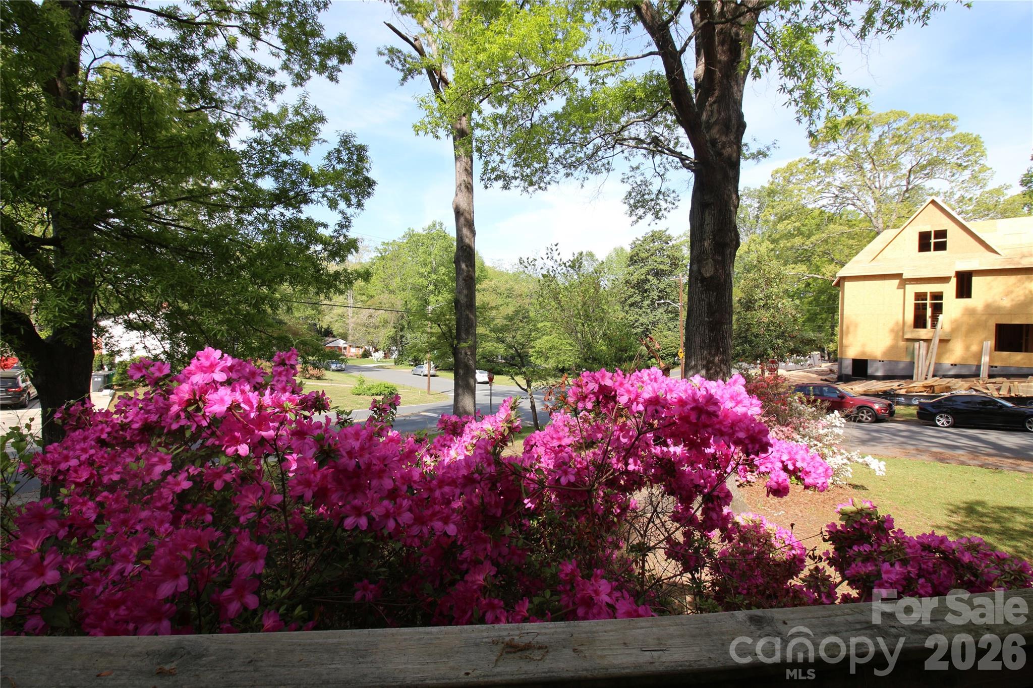 Shamrock Gardens - Residential