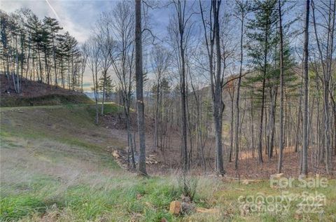 33 Bent Branch Lane Asheville NC 28804