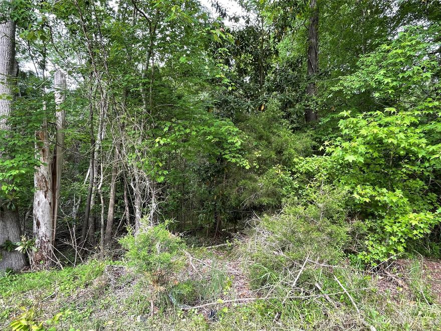 Great building lot in one of the nicest neighborhoods in town. The property has public water and sewer available. This lot is next to another 1.35 acre lot available on Hollybrook Drive for a total of 5.45 acres available. Lots are listed and priced seperately but can be purchased together.