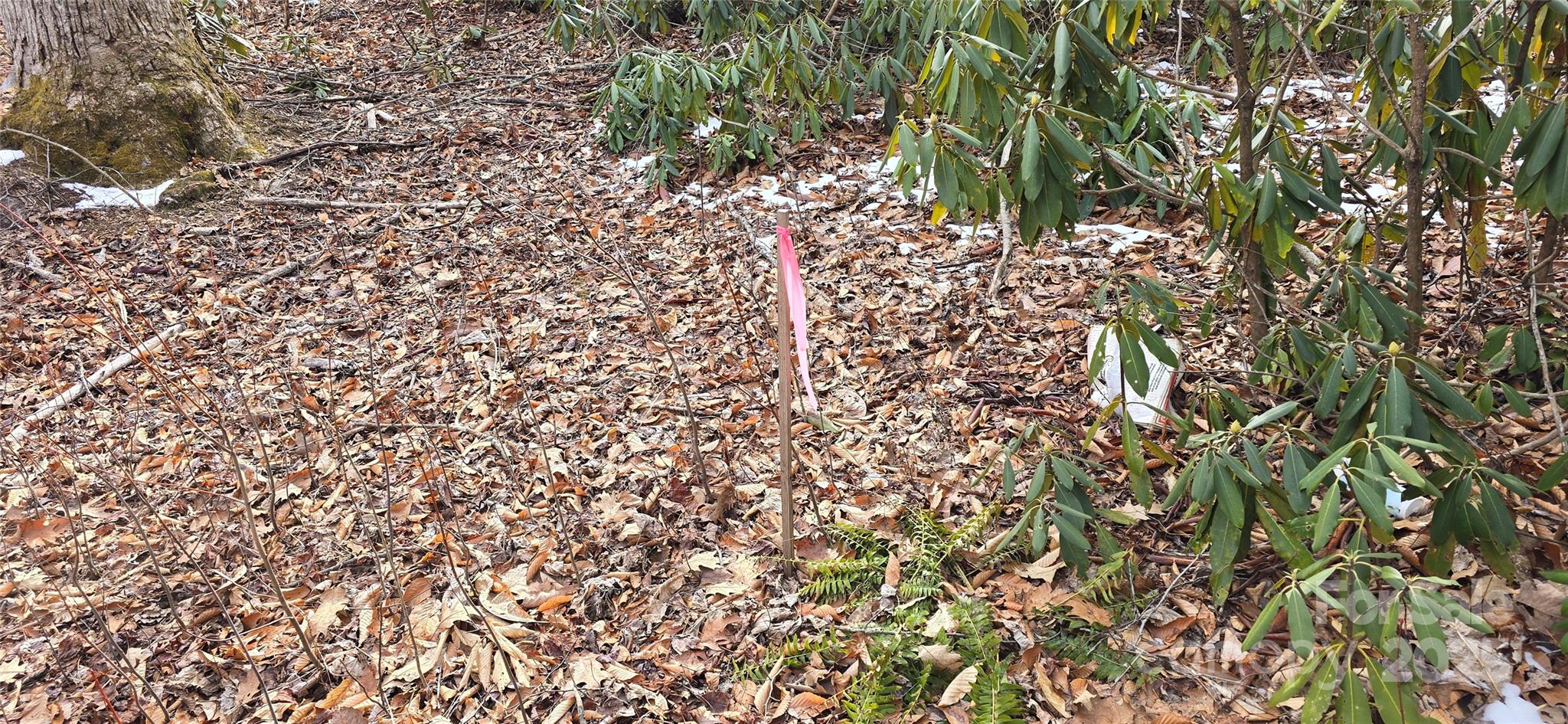 Lot 42 Twinbrook Lane