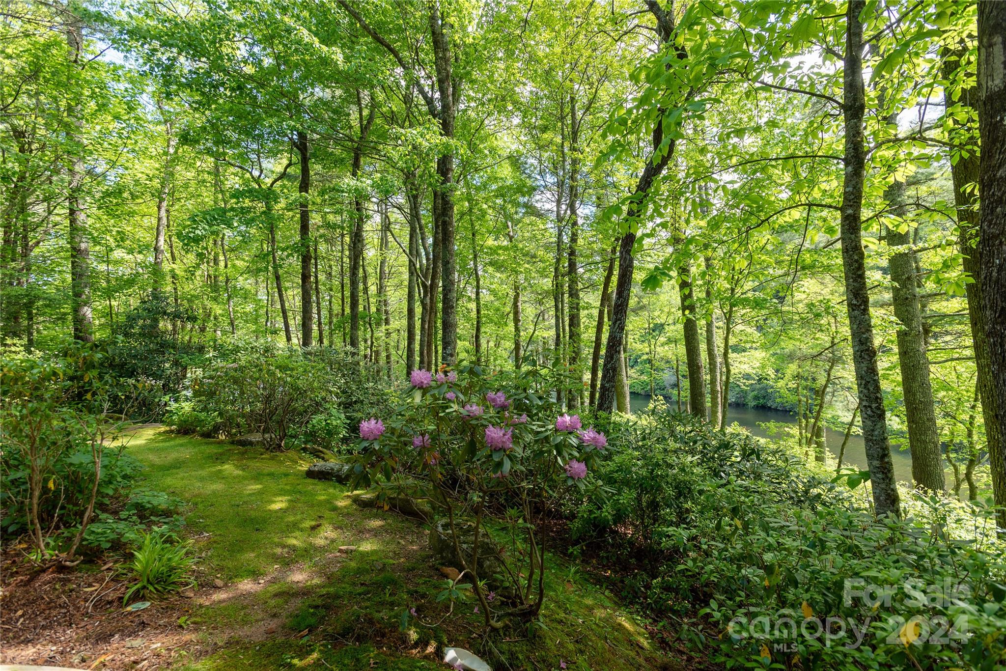 Lake Toxaway Estates - Residential