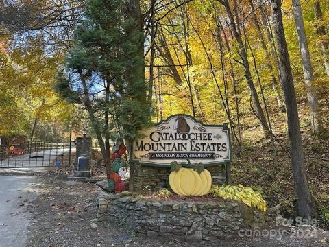 9999 Cisco Cove R5 Waynesville NC 28785