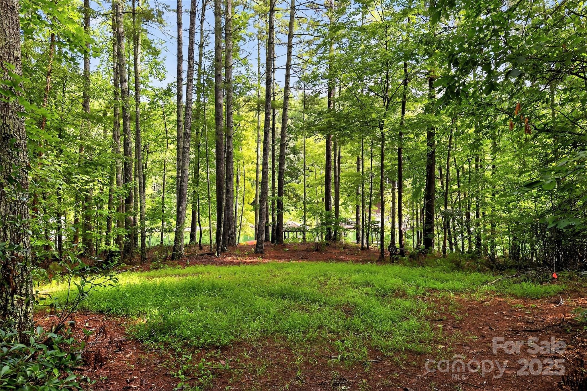 2361 Lake Forest Cove 13