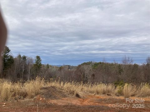 1638 Continental Divide Road 1 Flat Rock NC 28731