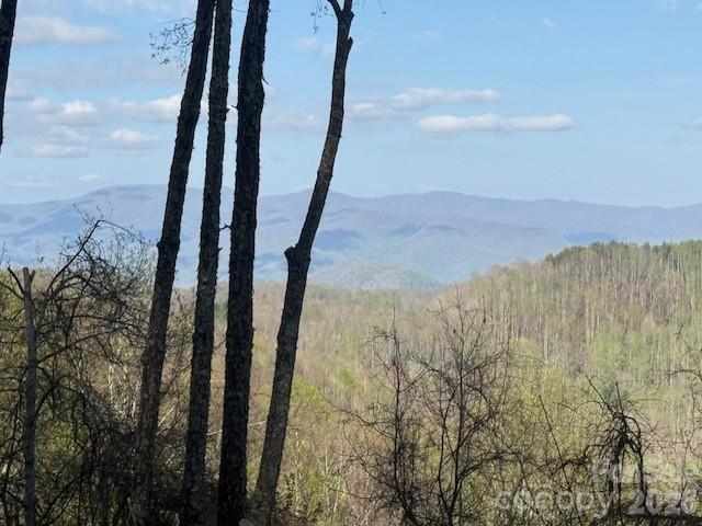 Balsam Mountain Preserve - Land