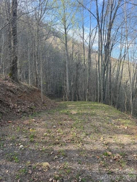 Balsam Mountain Preserve - Land