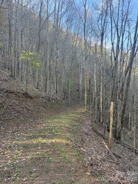 Balsam Mountain Preserve - Land