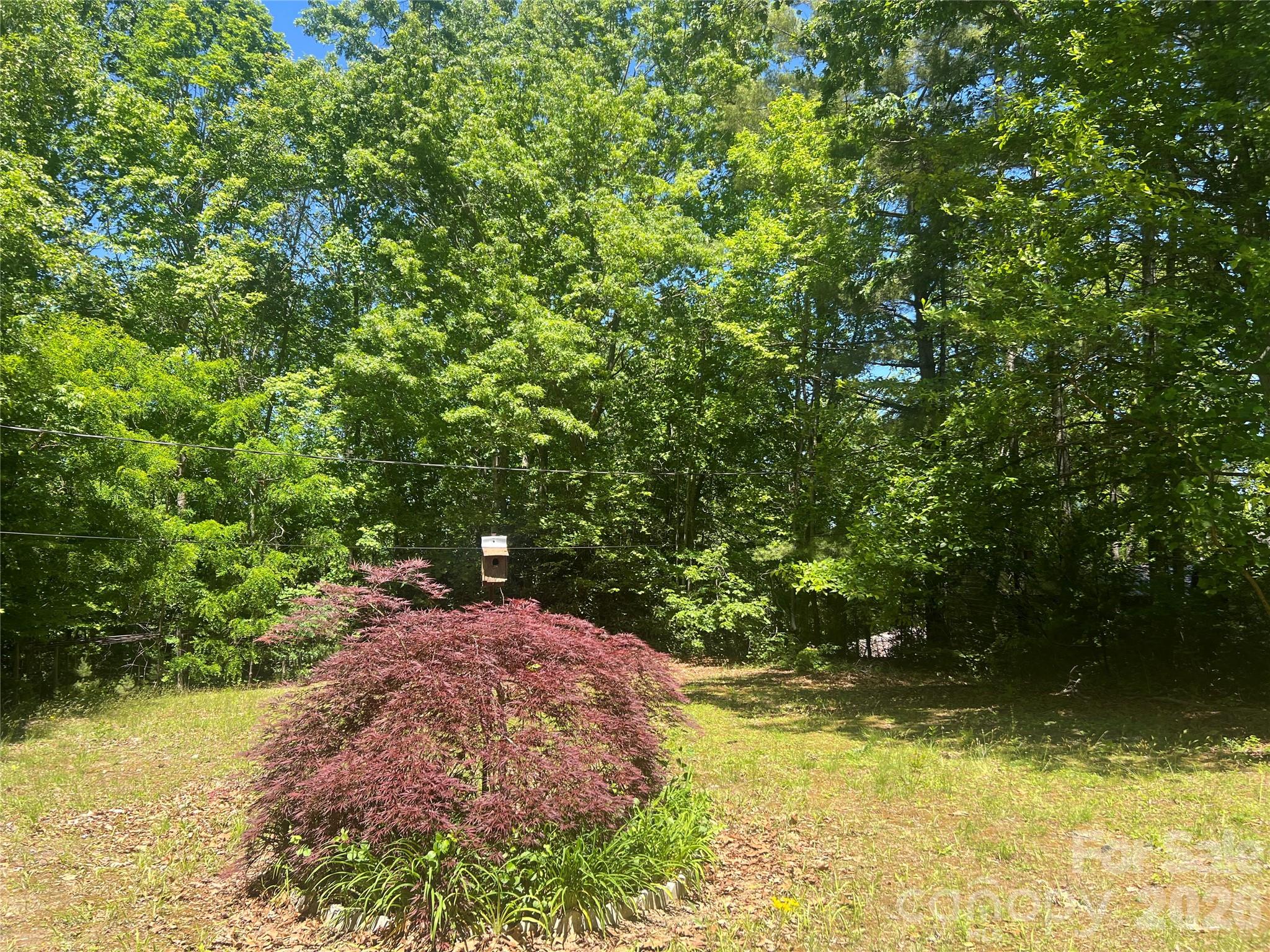 0 Mountain Laurel Lane